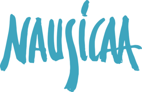 Nausicaa