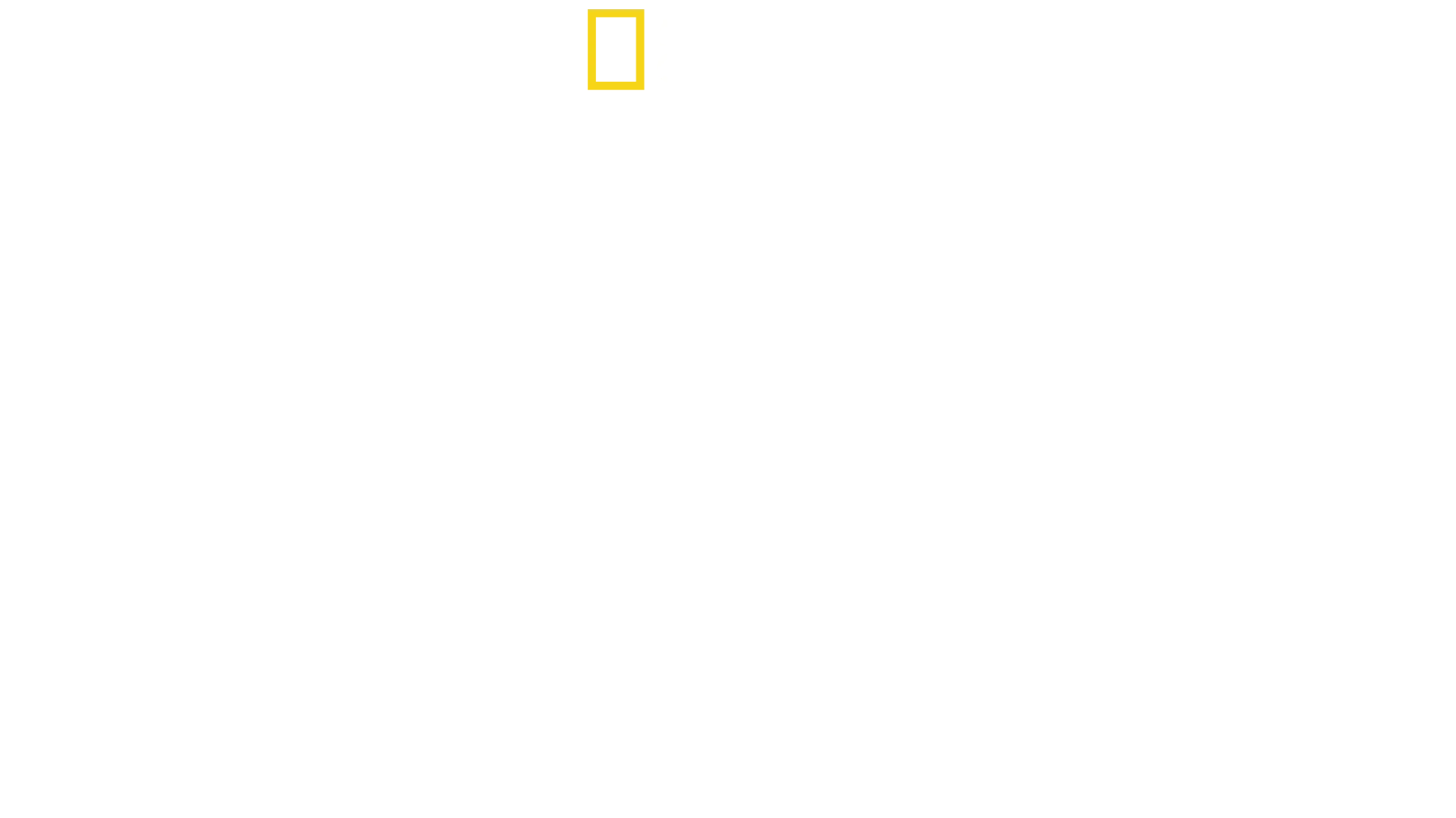 O Negócio da Droga