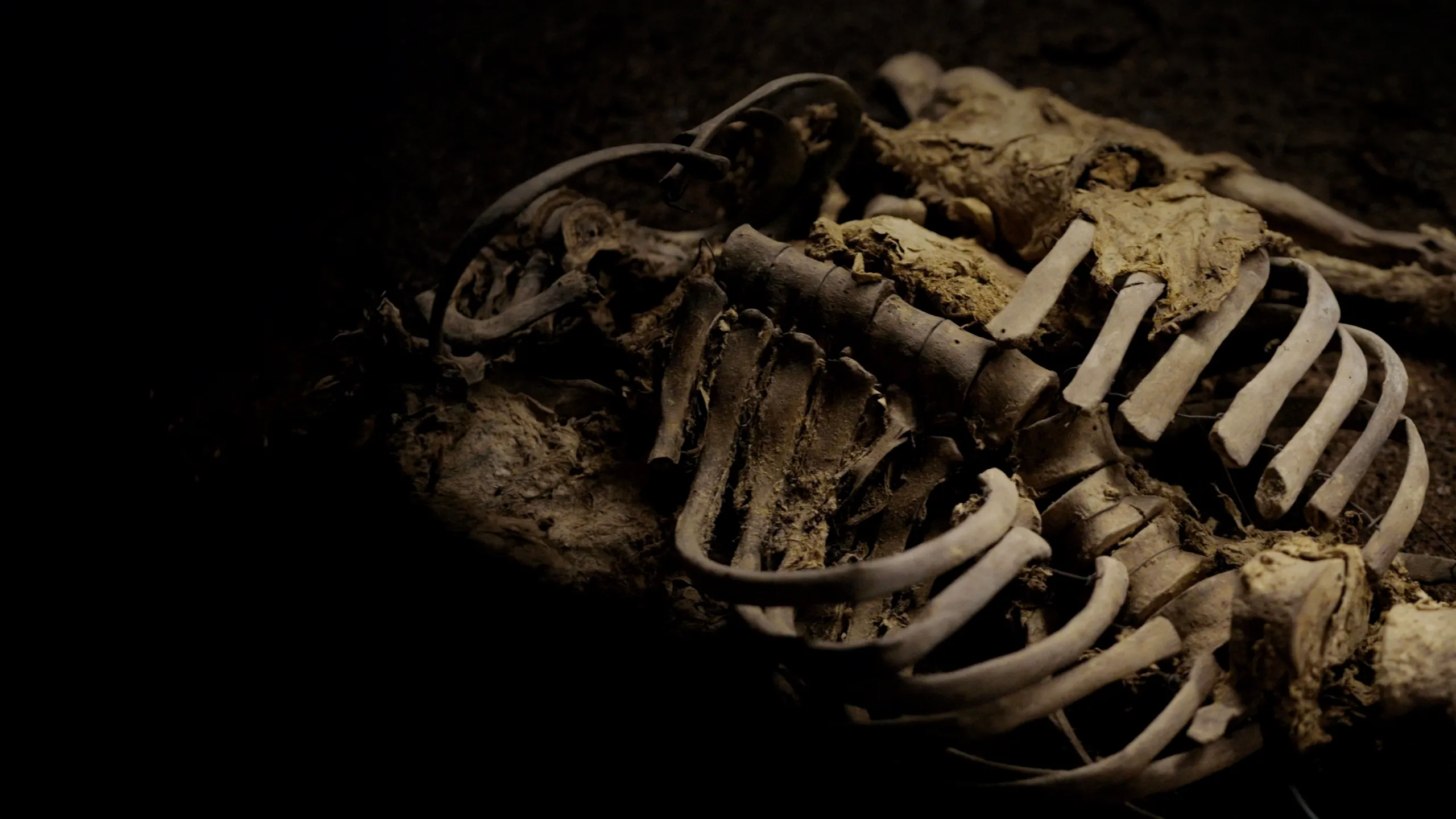 Ancient Bodies: Secrets Revealed