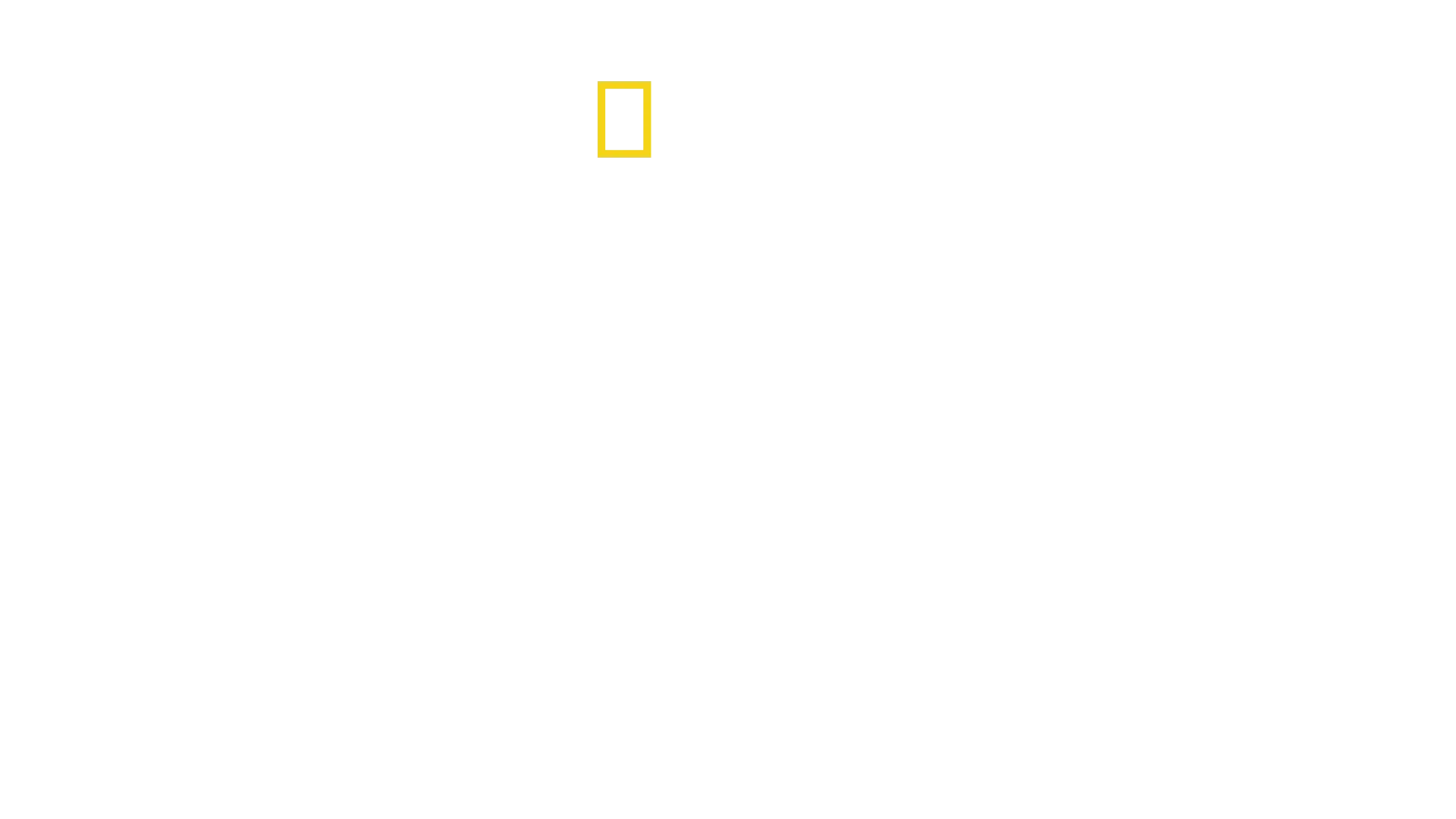 Corée du Nord : portraits de dictateurs