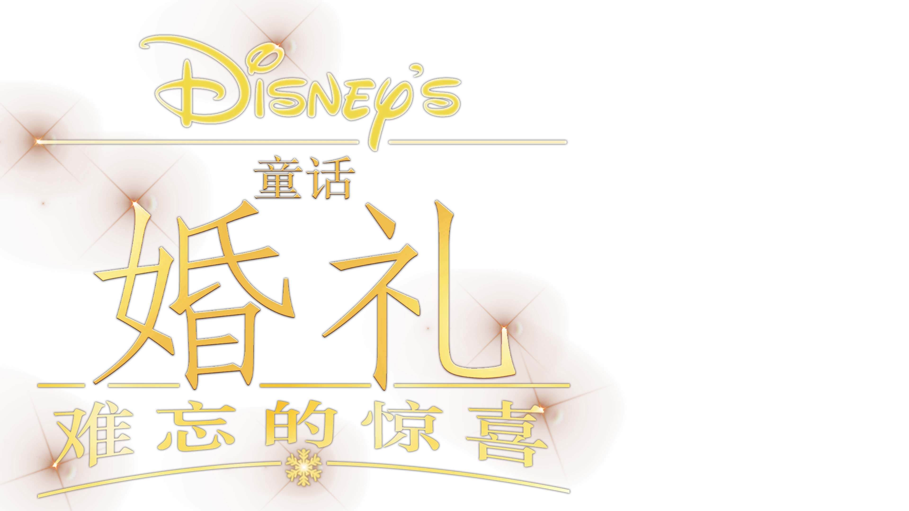 迪士尼童话婚礼 : 难忘的惊喜