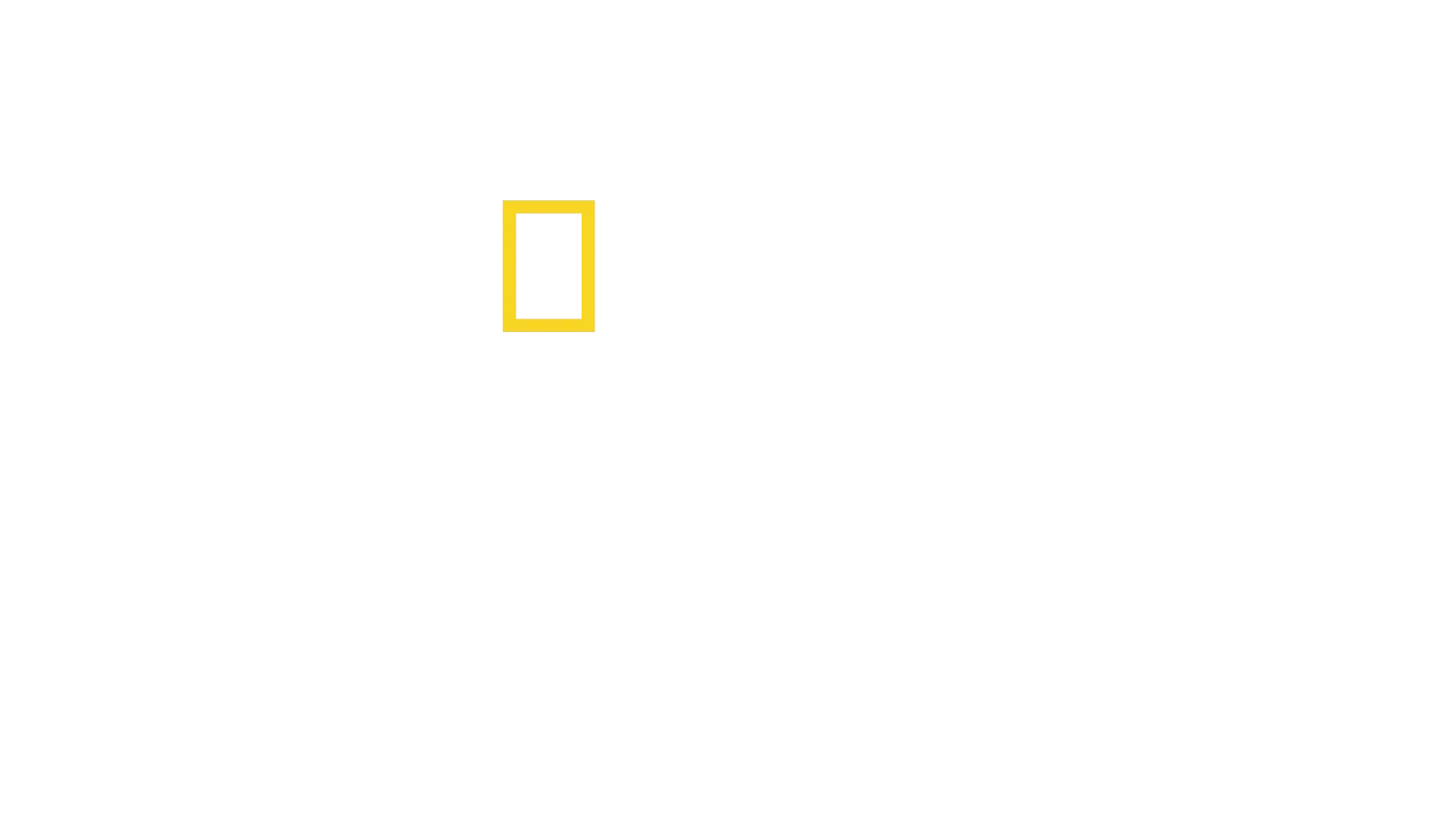 Dutch Caribbean Coastguard