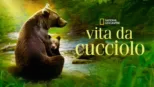 thumbnail - Vita da cucciolo