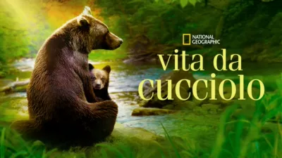 Vita da cucciolo