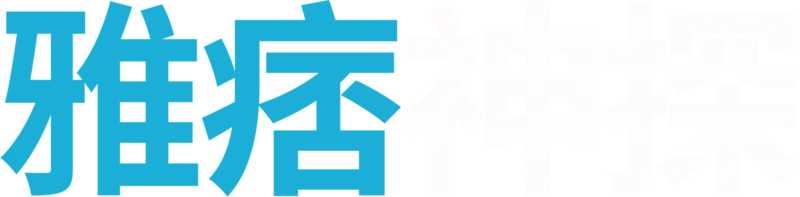 雅痞神探
