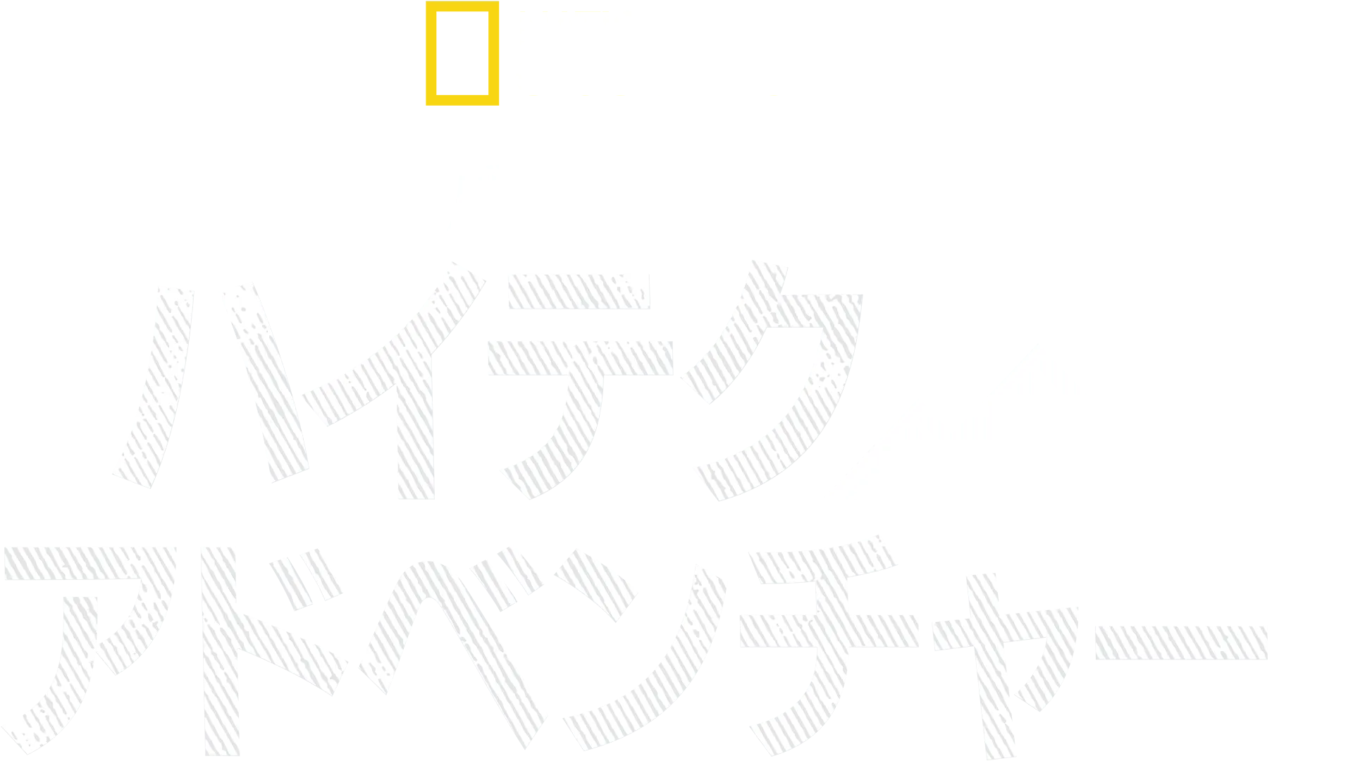 バーティのハイテク・アドベンチャー