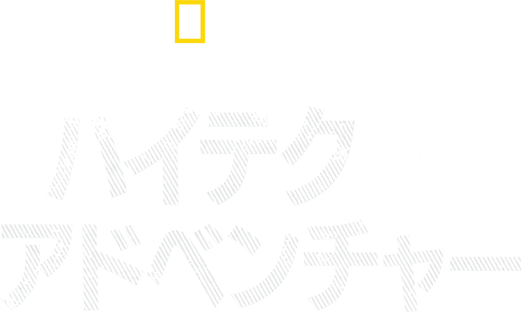 バーティのハイテク・アドベンチャー