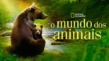 thumbnail - O Mundo dos Animais
