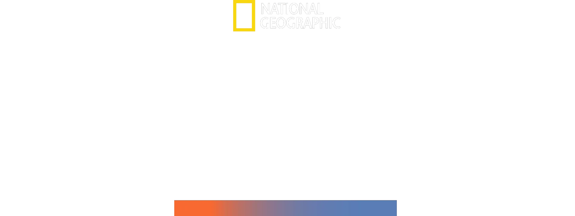 Hammerhaie hautnah