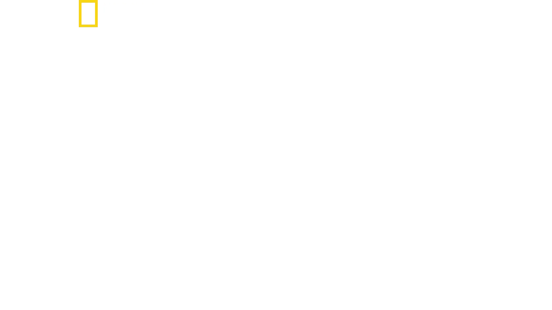Die neue Air Force One - Eine fliegende Festung
