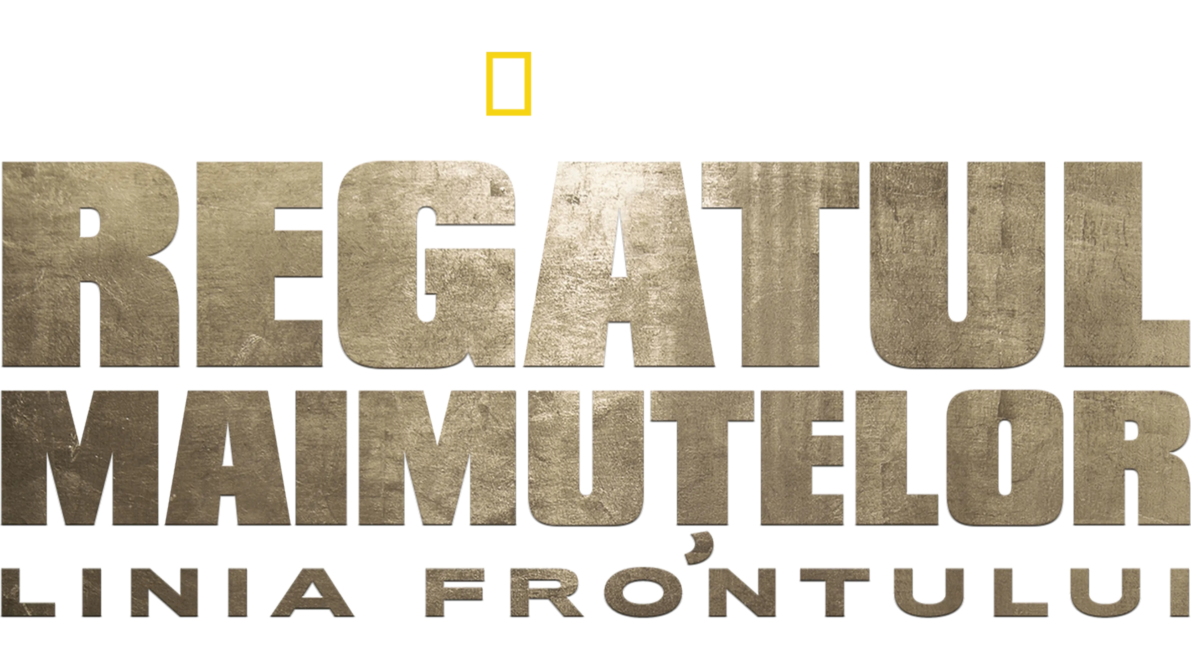 Regatul maimuțelor: Linia frontului