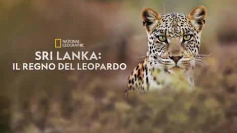 thumbnail - Sri Lanka: Il Regno Del Leopardo