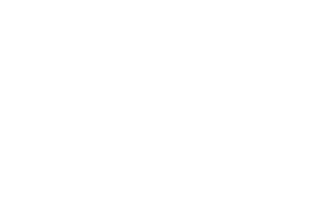 将成为国王的孩子