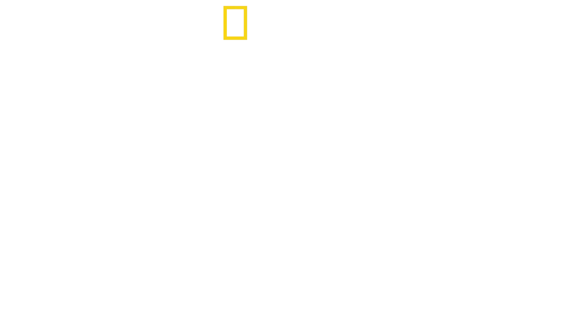 解析！スタンフォード監獄実験の真実