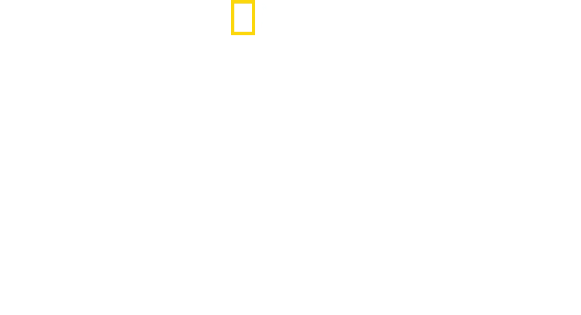 解析！スタンフォード監獄実験の真実