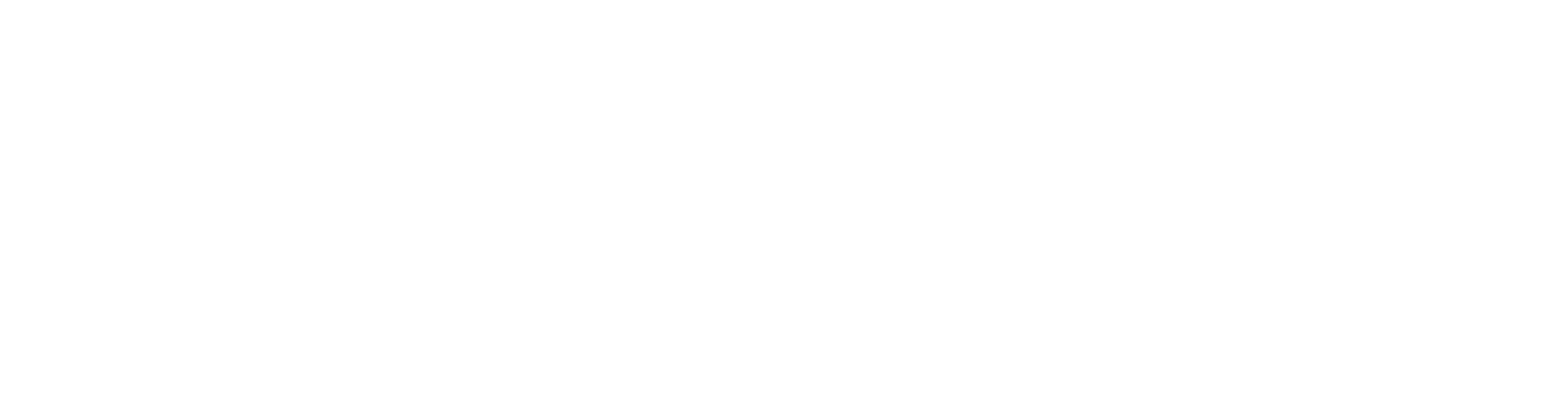 スネーク・アイズ