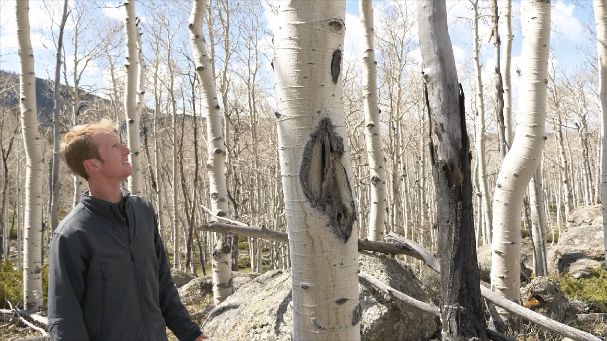 thumbnail - S1:E11 Tree Clones