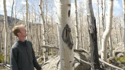 thumbnail - S1:E11 Tree Clones