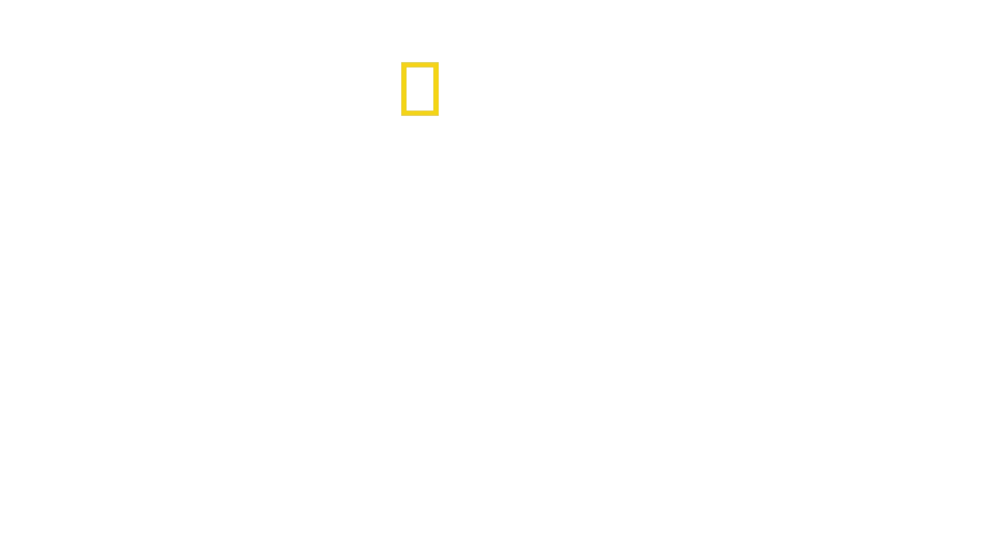 Growing Up Animal