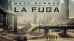 thumbnail - Maze Runner - La Fuga