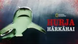thumbnail - Hurja härkähai