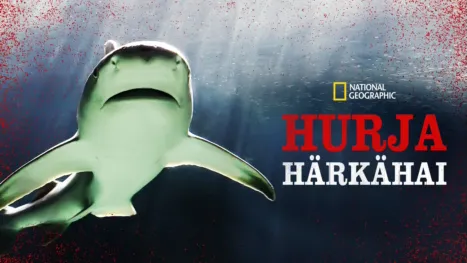 thumbnail - Hurja härkähai