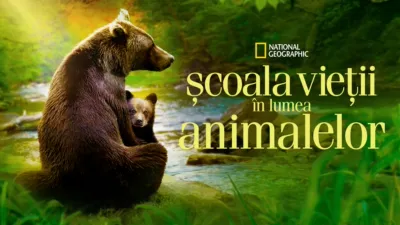 Școala Vieții În Lumea Animalelor