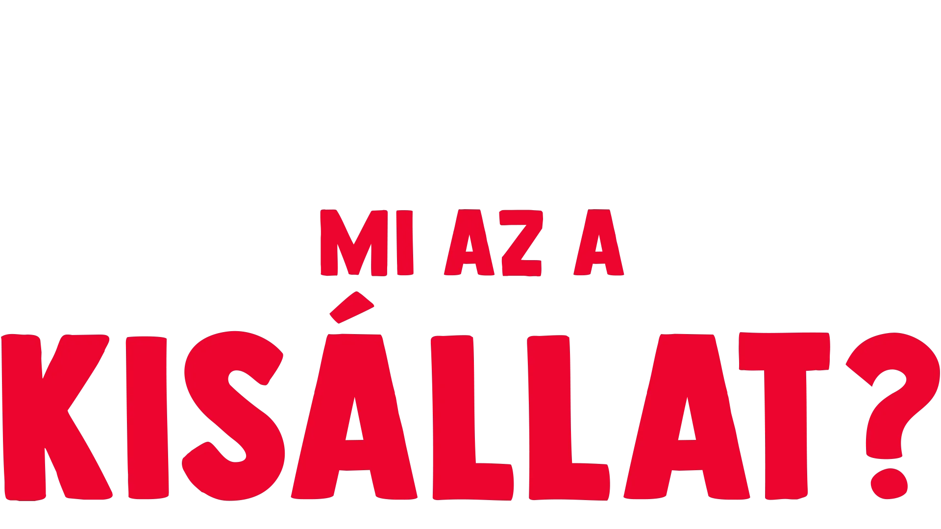 Villi villámkérdései: Mi az a kisállat?