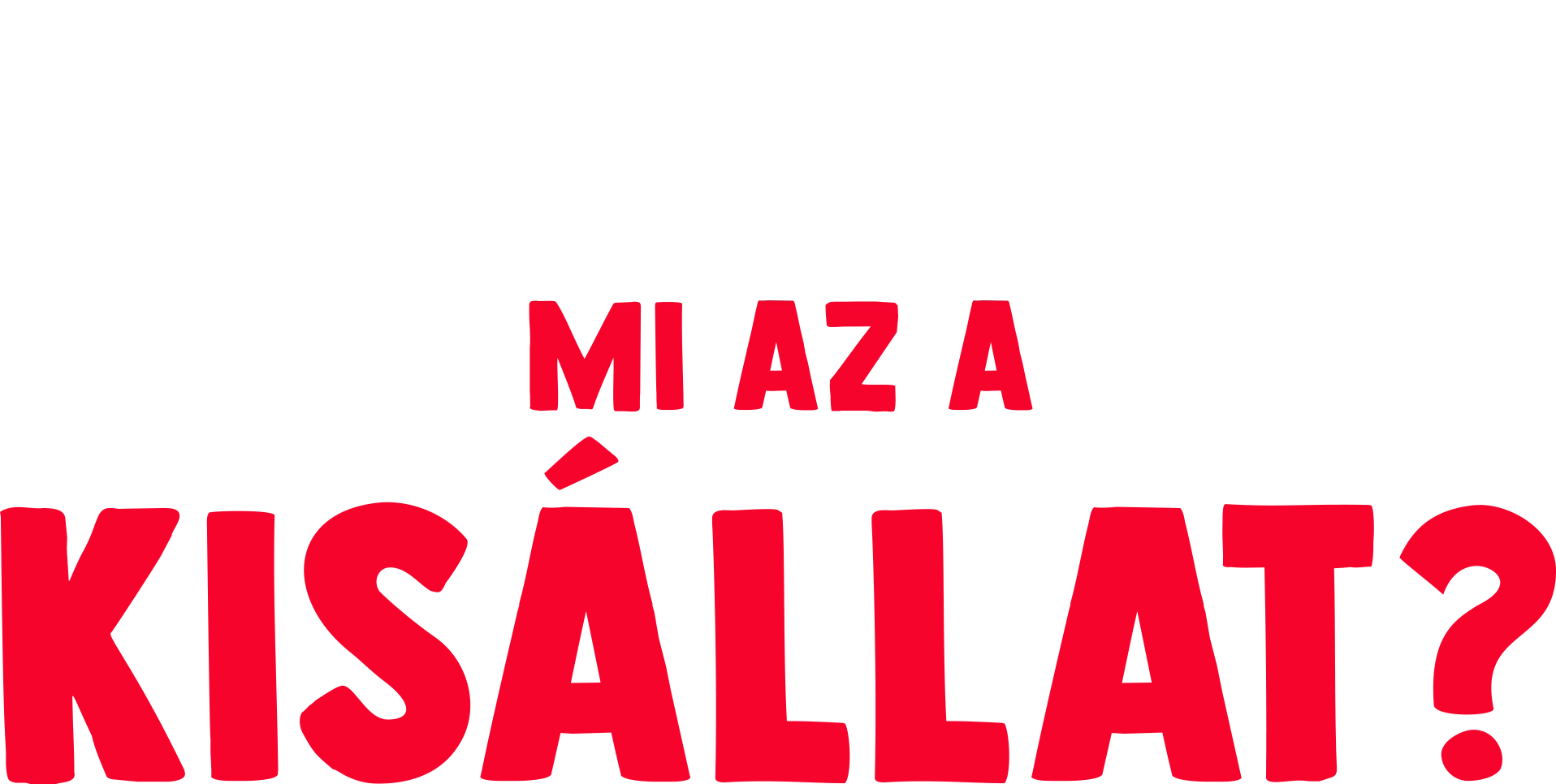 Villi villámkérdései: Mi az a kisállat?