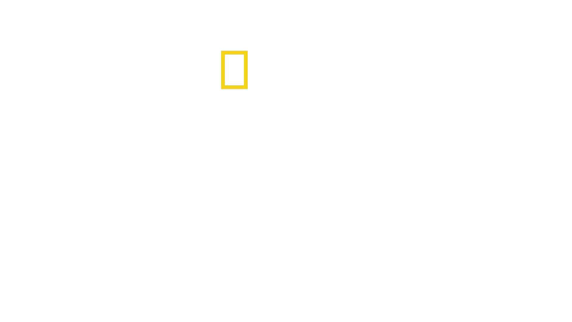 O Segredo das Baleias