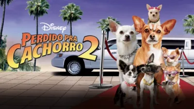 thumbnail - Perdido Pra Cachorro 2