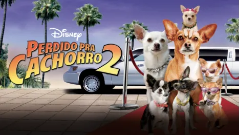 thumbnail - Perdido Pra Cachorro 2