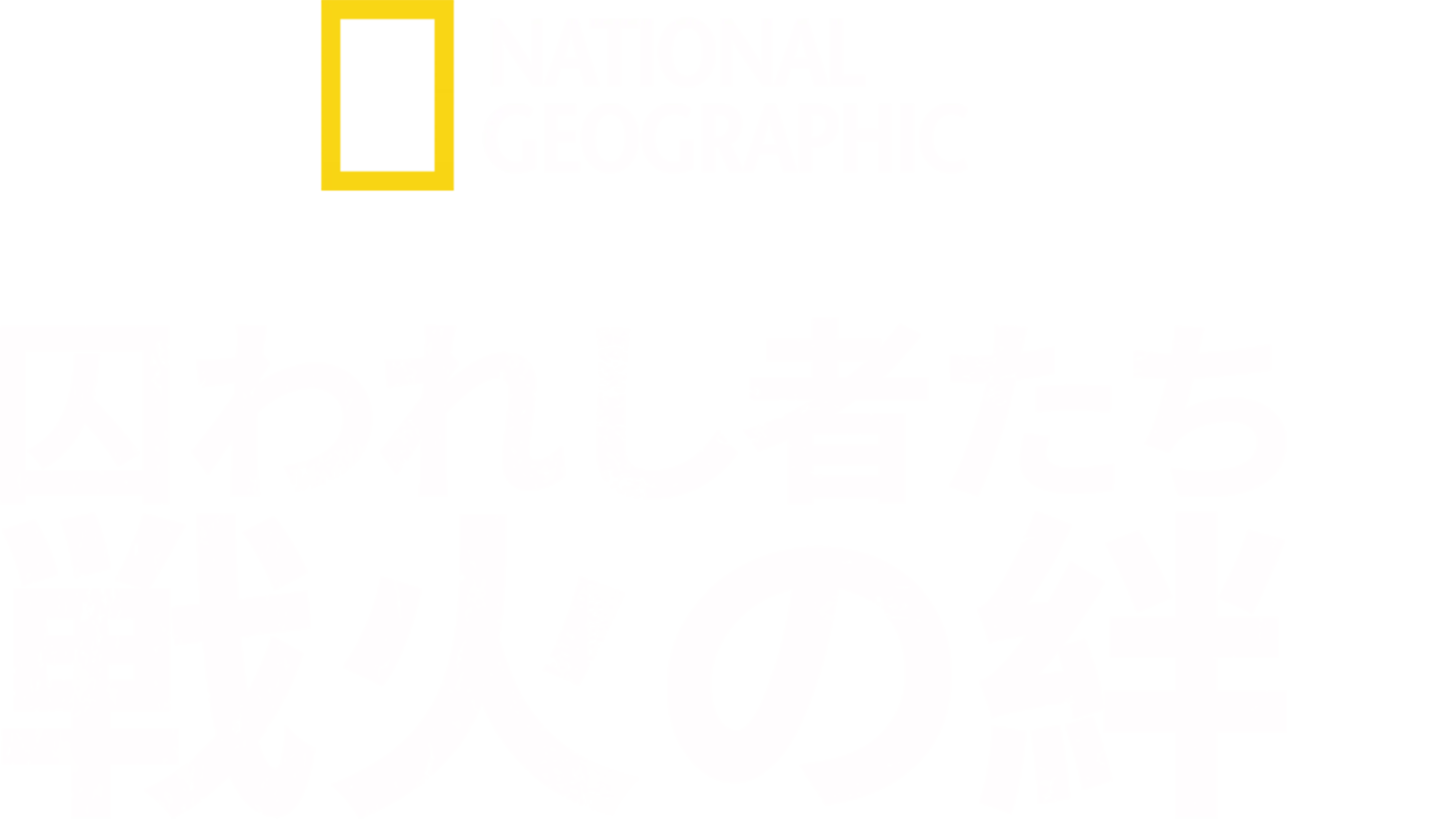 囚われし者たち～戦火の絆