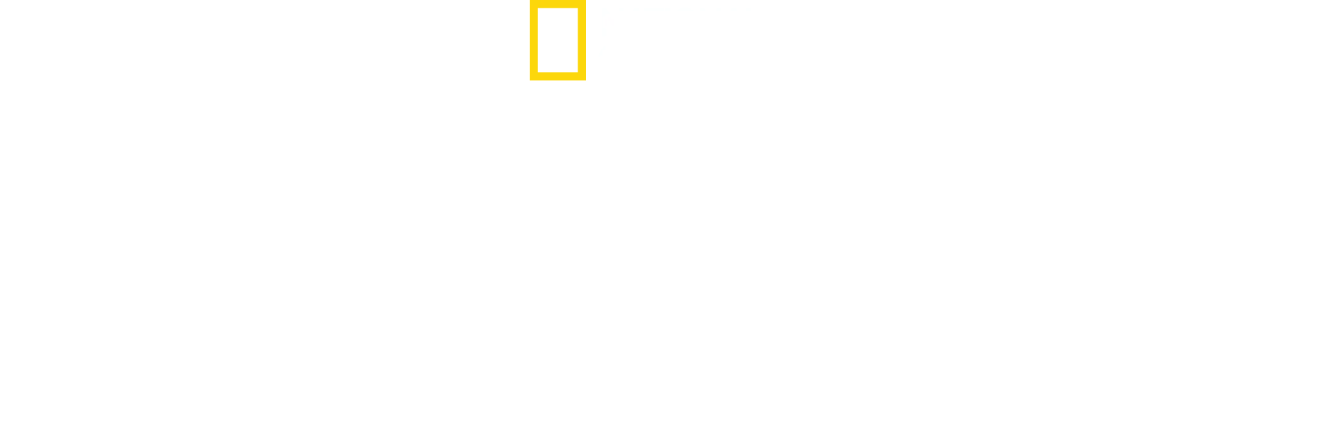 När hajar attackerar
