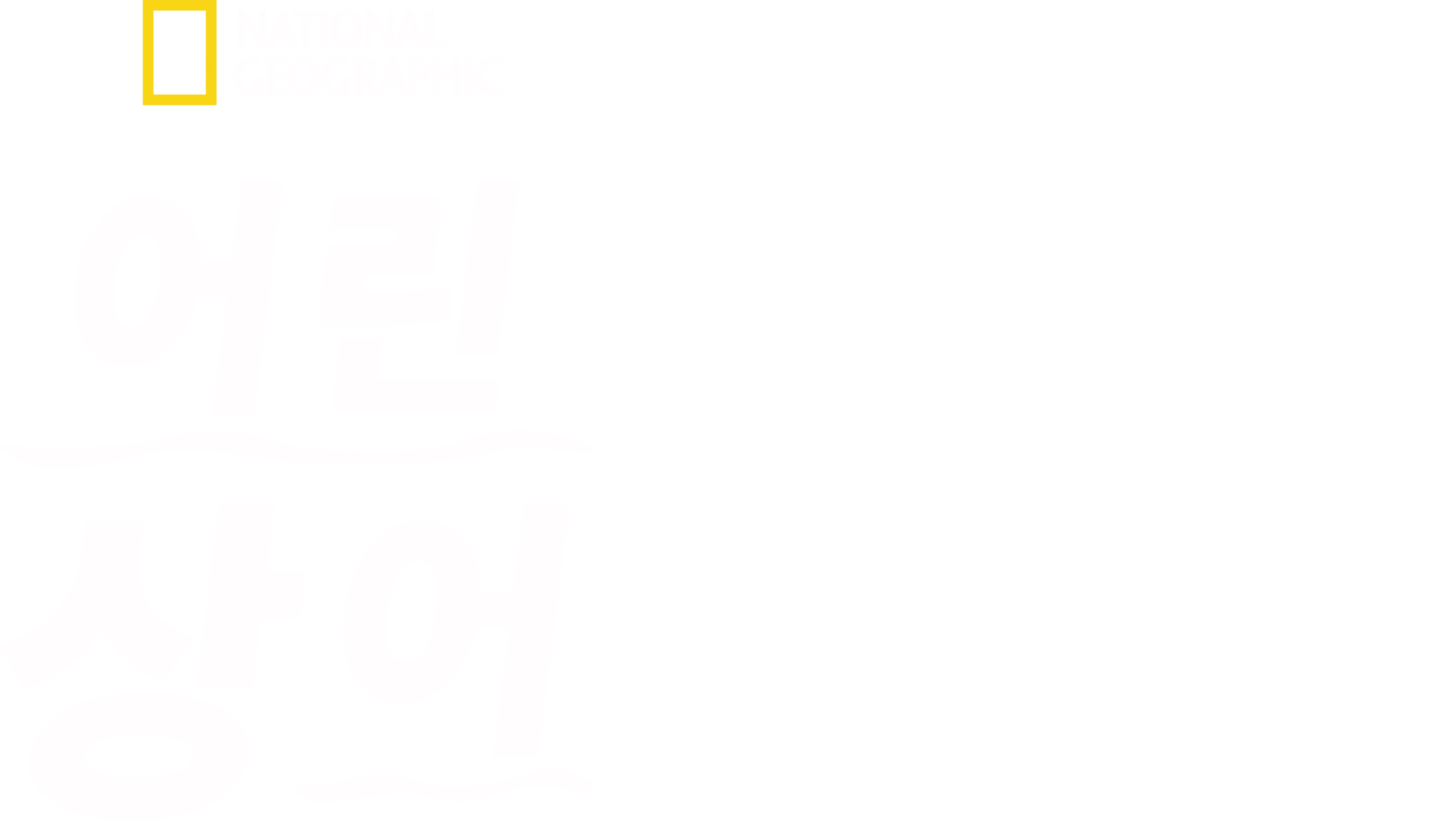 어린 상어