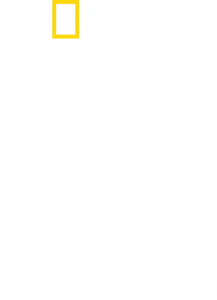 어린 상어