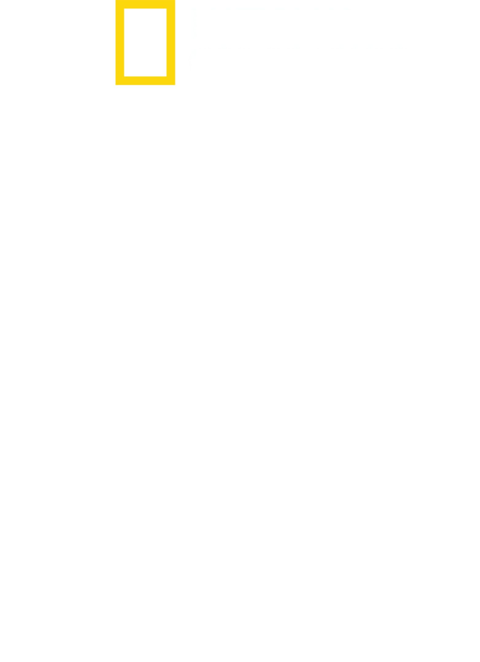 어린 상어
