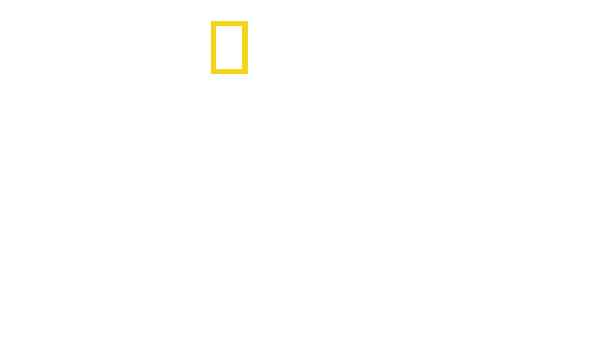 No Taste Like Home with Antoni Porowski