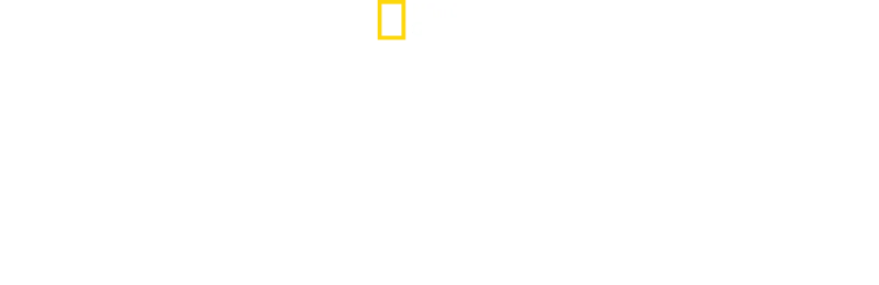 Stonehenge decodificado: secretos revelados