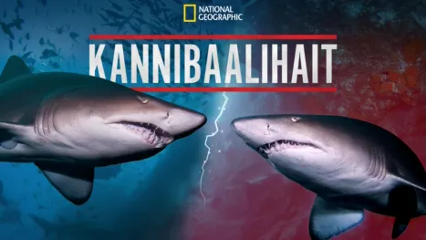 thumbnail - Cannibal Sharks