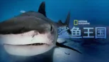 thumbnail - 鲨鱼王国