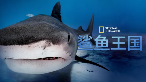thumbnail - 鲨鱼王国