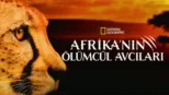 thumbnail - Afrika'nın Ölümcül Avcıları