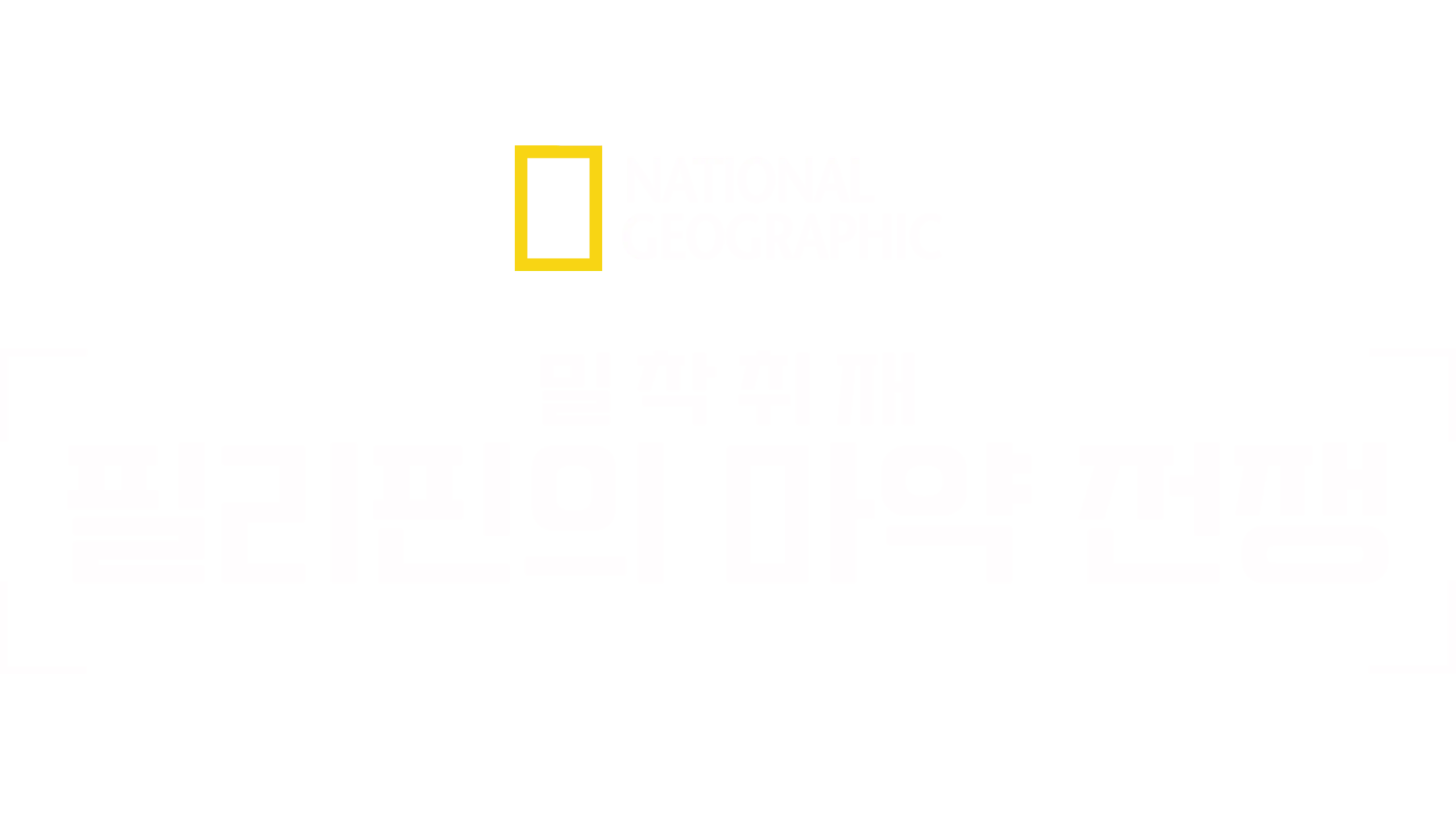밀착취재: 필리핀의 마약 전쟁