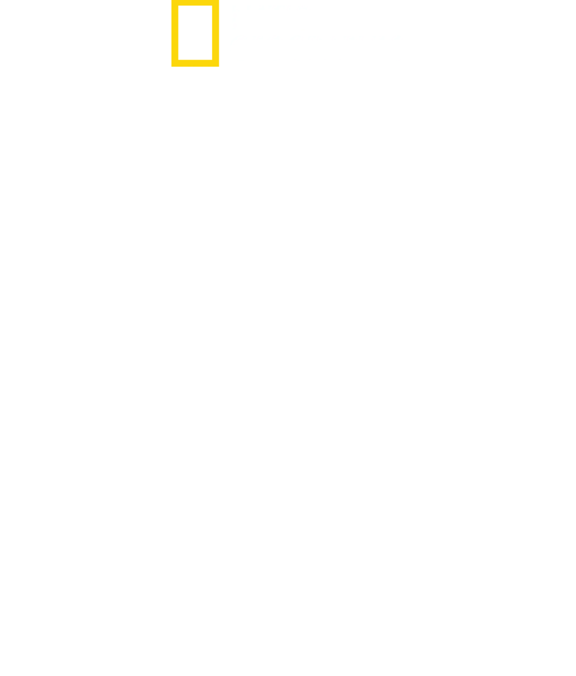 When Sharks Attack 360