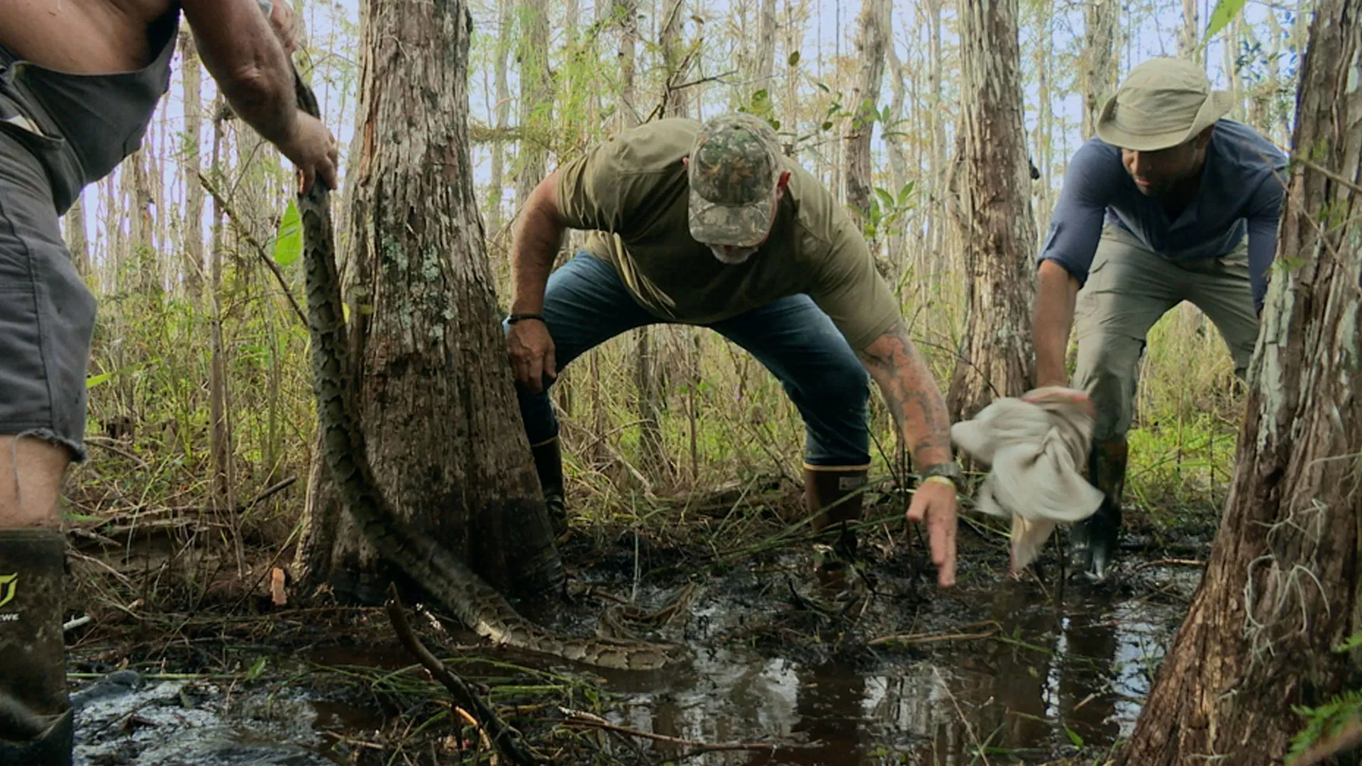thumbnail - M1:Ep2 The Everglades Triangle
