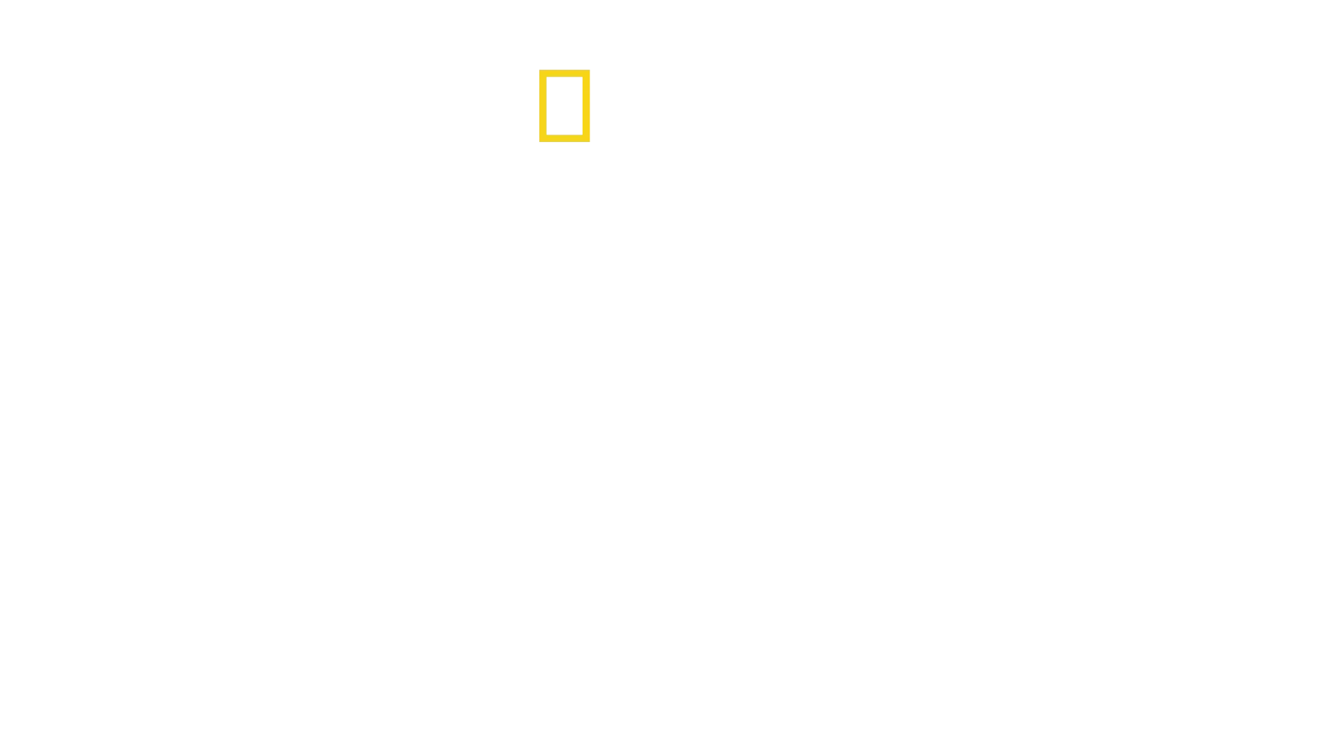 仰天！運び屋vs取締屋in全米エアポート
