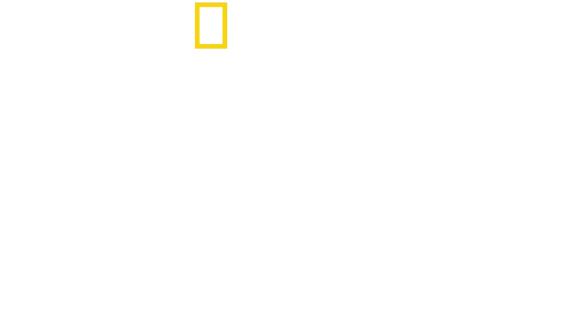 シャーク！驚異の胃袋