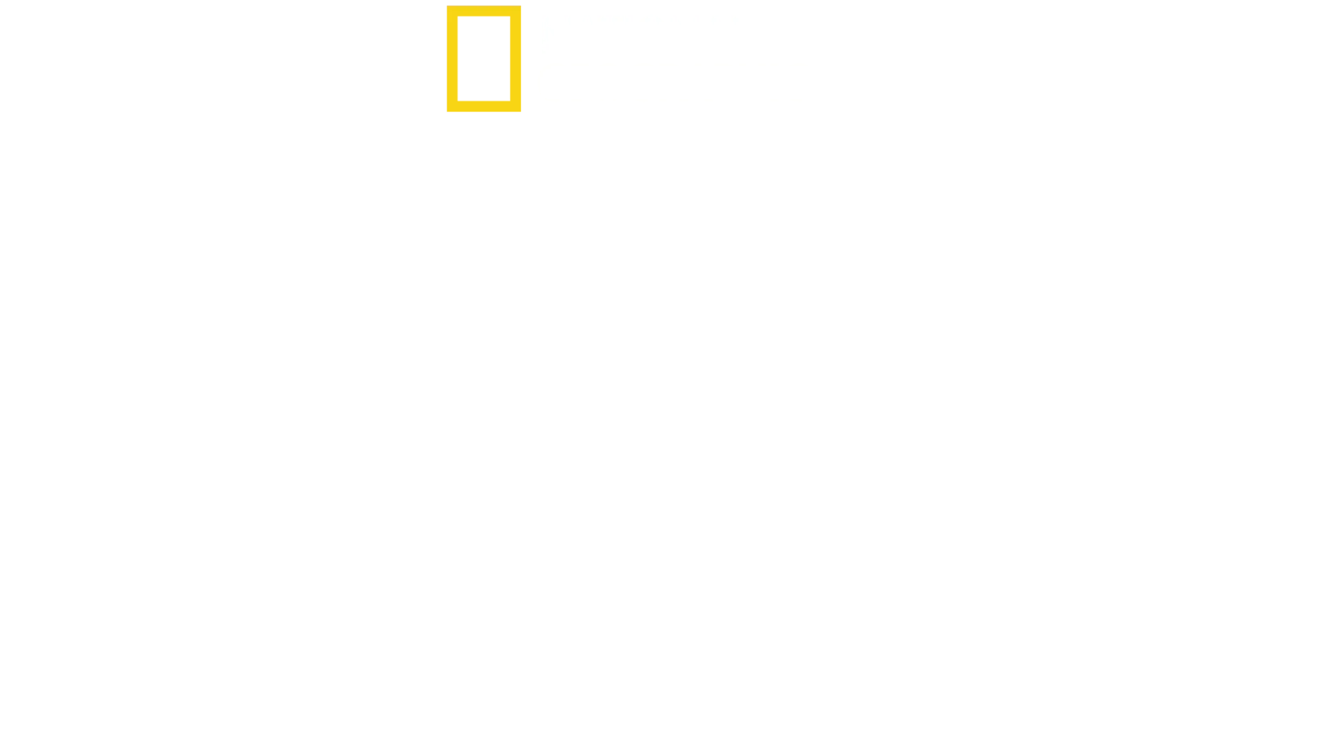 シャーク！驚異の胃袋