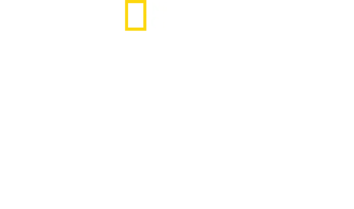 シャーク！驚異の胃袋